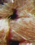 Twisted bundles of fibers. Shows color in starch coating.